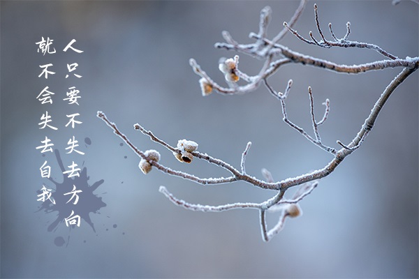 唯物史觀必背要點(diǎn)