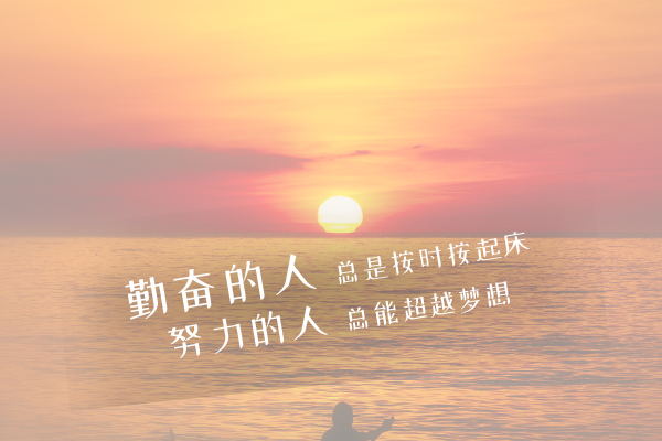 上海海事大學考研輔導班-上海海事大學管理科學與工程考研難嗎
