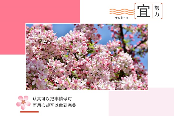 四川農(nóng)業(yè)大學(xué)考研輔導(dǎo)班-四川農(nóng)業(yè)大學(xué)風(fēng)景園林學(xué)考研難嗎