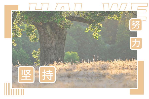 蘇州大學(xué)考研輔導(dǎo)班-蘇州大學(xué)新能源科學(xué)與工程考研難嗎?