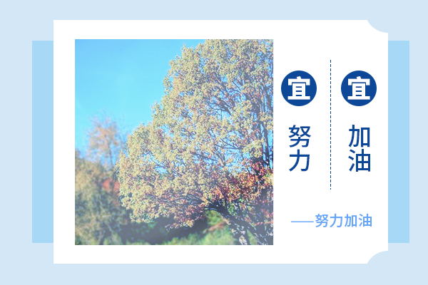 東北大學(xué)考研輔導(dǎo)班：公共管理考研難嗎?