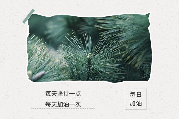 中國農(nóng)業(yè)大學觀賞園藝專碩考研難嗎?