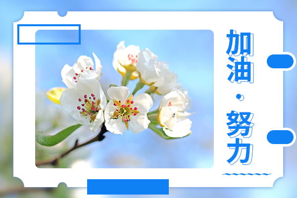 北京科技大學(xué)考研輔導(dǎo)班：社會工作考研怎么復(fù)習(xí)？