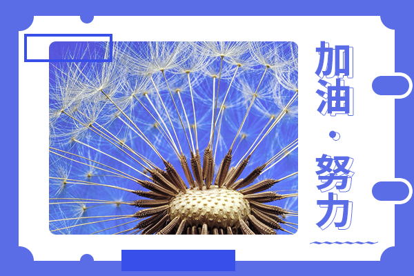 西北農(nóng)林科技大學(xué)農(nóng)藝與種業(yè)專碩考研好不好考？