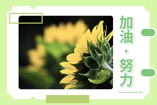 中央民族大學(xué)的社會(huì)工作專碩考研難嗎？
