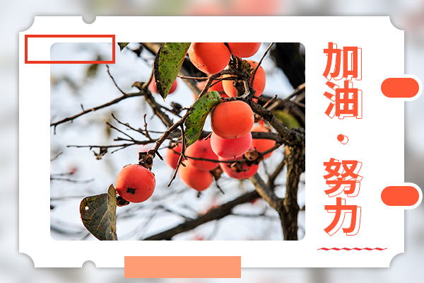 東北大學(xué)考研輔導(dǎo)班：土木水利考研怎么復(fù)習(xí)？
