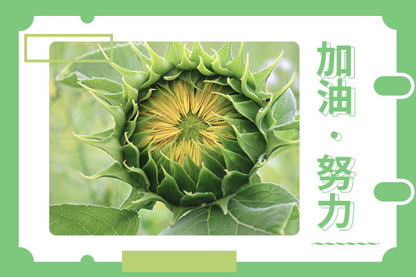 湖南大學(xué)考研輔導(dǎo)班：信息與通信工程考研難嗎？