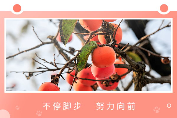 華中師范大學(xué)考研輔導(dǎo)班：思想政治教育考研難度大不大？
