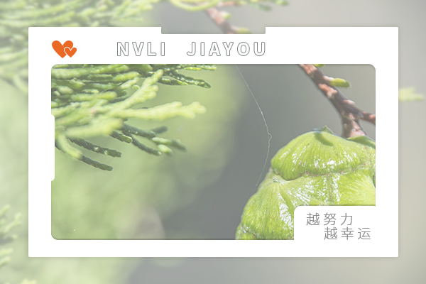 大連海事大學(xué)考研輔導(dǎo)班：社會(huì)工作考研好不好考？