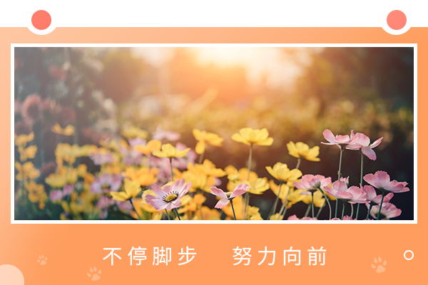 考非全日制研究生的條件和流程是什么？