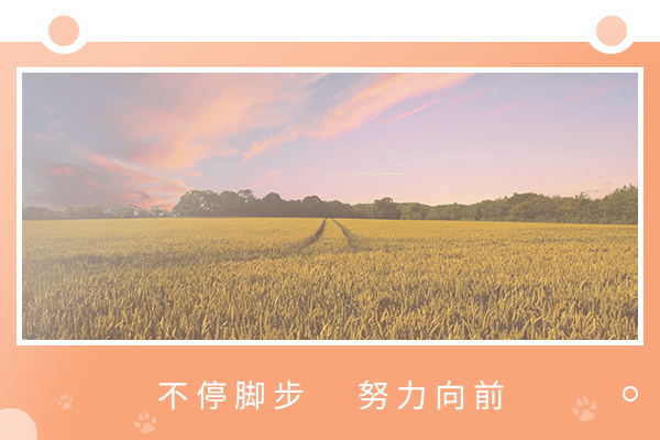 東南大學(xué)考研輔導(dǎo)班：心理學(xué)考研難嗎？