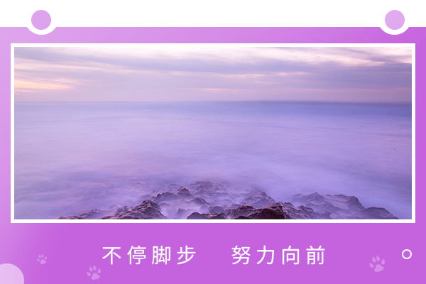 985院校：武漢理工大學(xué)考研熱門專業(yè)難度分析