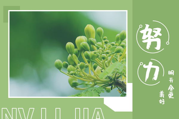 北京師范大學(xué)學(xué)科教學(xué)（英語）專業(yè)考研難不難？